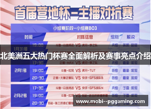 北美洲五大热门杯赛全面解析及赛事亮点介绍