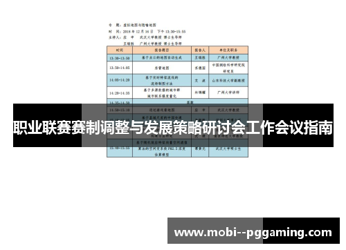 职业联赛赛制调整与发展策略研讨会工作会议指南 职业联赛赛制调整与发展策略研讨会工作会议指南