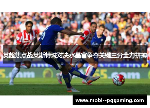 英超焦点战莱斯特城对决水晶宫争夺关键三分全力拼搏 英超焦点战莱斯特城对决水晶宫争夺关键三分全力拼搏
