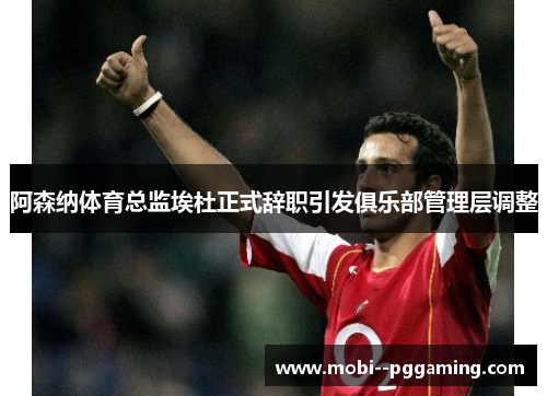 阿森纳体育总监埃杜正式辞职引发俱乐部管理层调整 阿森纳体育总监埃杜正式辞职引发俱乐部管理层调整