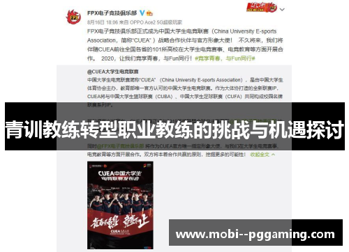 青训教练转型职业教练的挑战与机遇探讨