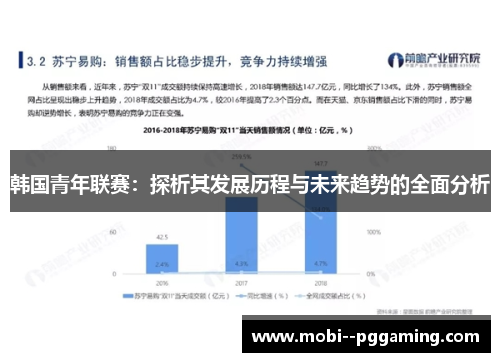 韩国青年联赛：探析其发展历程与未来趋势的全面分析