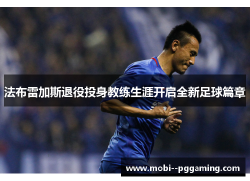 法布雷加斯退役投身教练生涯开启全新足球篇章 法布雷加斯退役投身教练生涯开启全新足球篇章