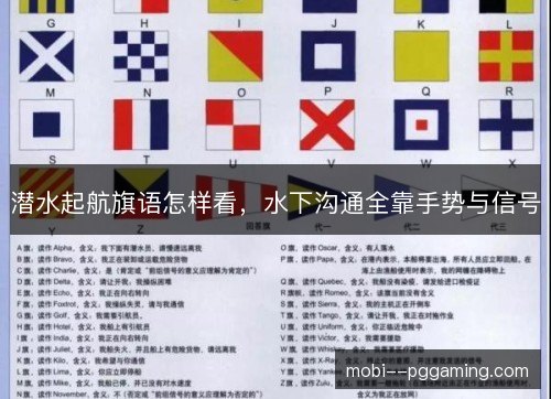 潜水起航旗语怎样看,水下沟通全靠手势与信号 潜水起航旗语怎样看,水下沟通全靠手势与信号